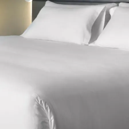 Hotel Nh Messe